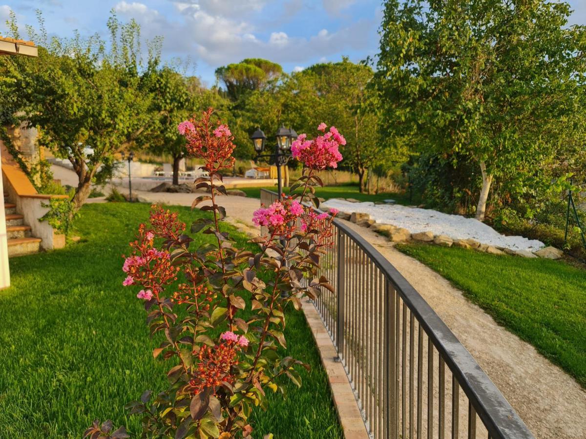 Villa Graziella, in piscina sul lago trasimeno Magione Esterno foto
